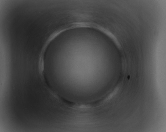 X0000100901365200807081053