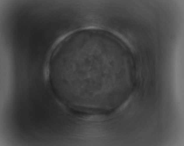 X0000100901367200807081053