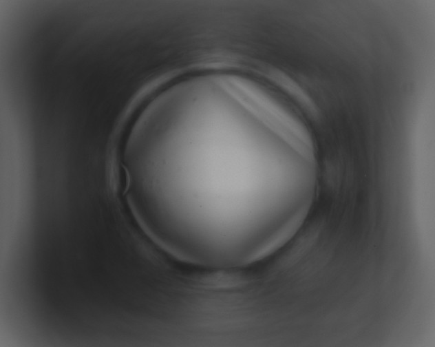 X0000100901368200807081053