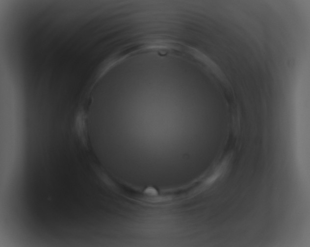 X0000100901369200807081053