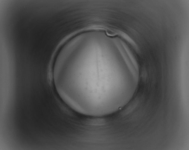 X0000100901372200807081053