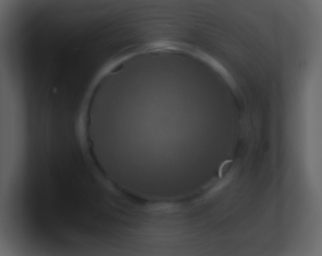 X0000100901373200807081053