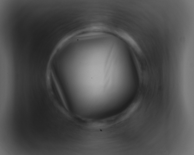 X0000100901374200807081053