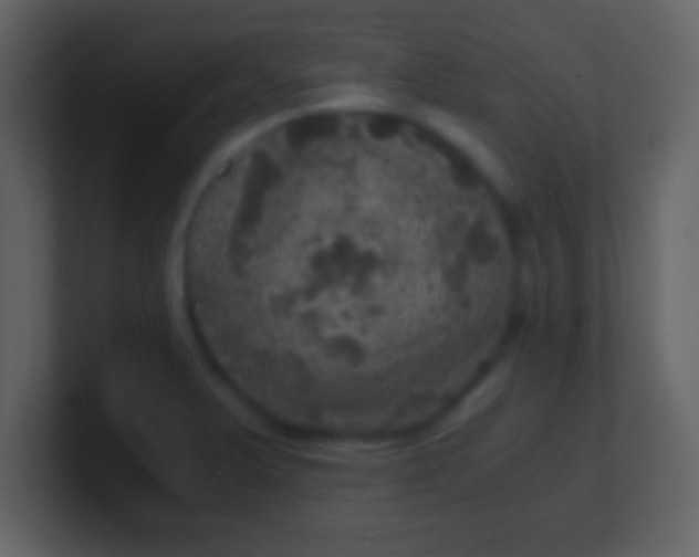 X0000100901375200807081053