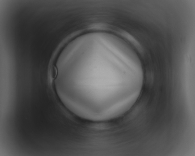 X0000100901376200807081053