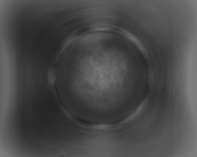 X0000100901377200807081053