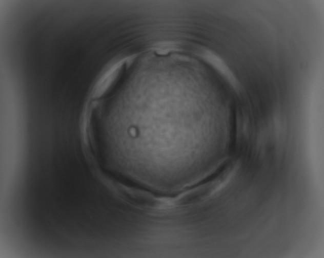 X0000100901378200807081053