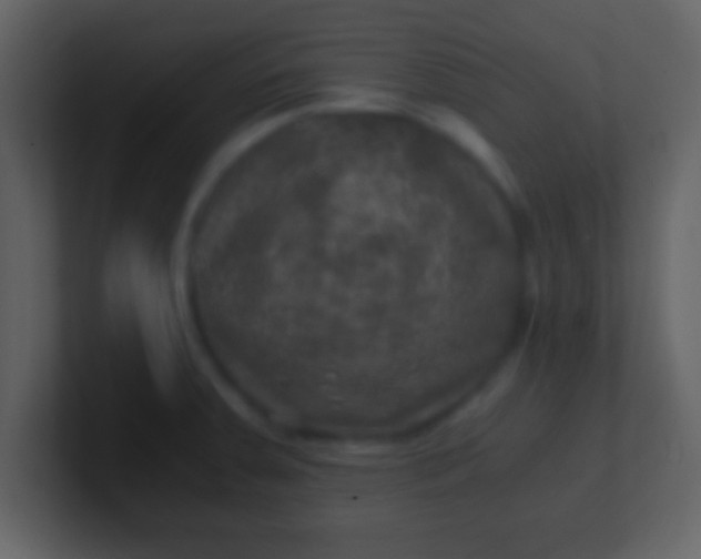 X0000100901379200807081053