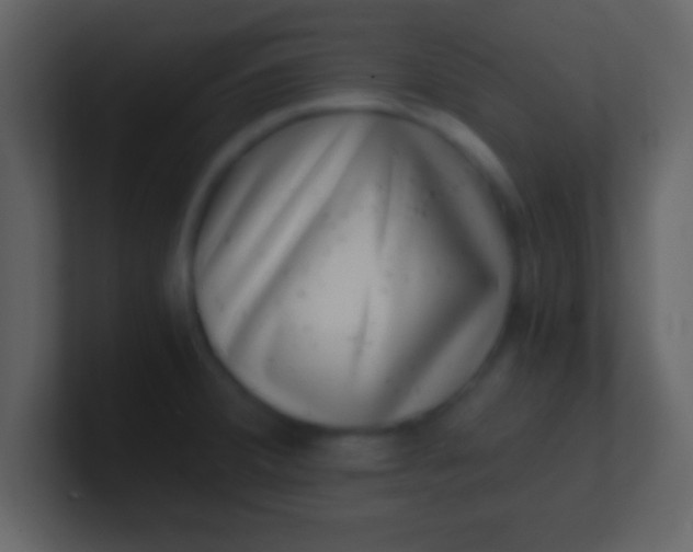 X0000100901380200807081053