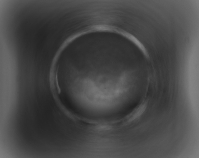 X0000100901381200807081053