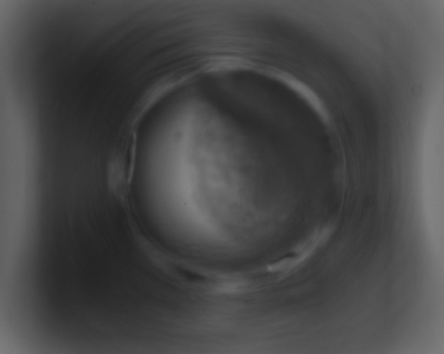 X0000100901385200807081053