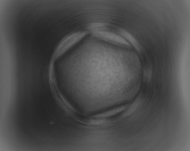 X0000100901386200807081053