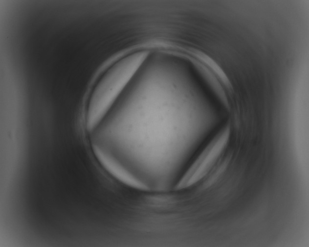 X0000100901388200807081053