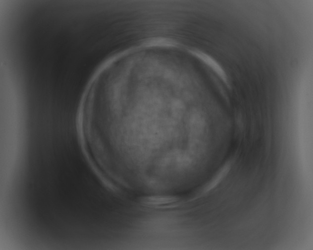 X0000100901391200807081053