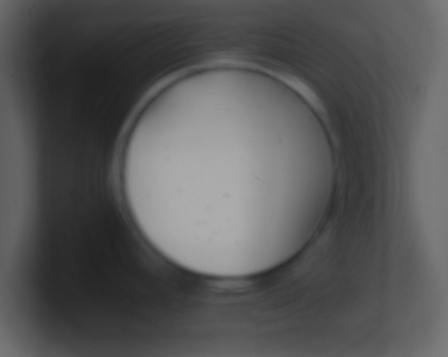 X0000100901392200807081053