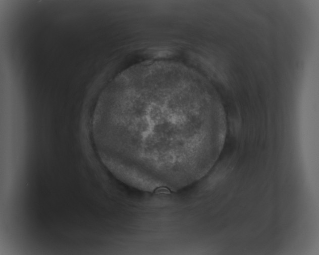 X0000100901393200807081052