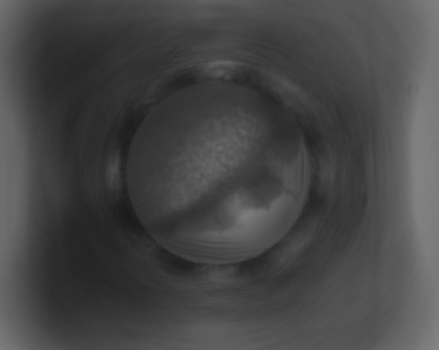 X0000100901394200807081052