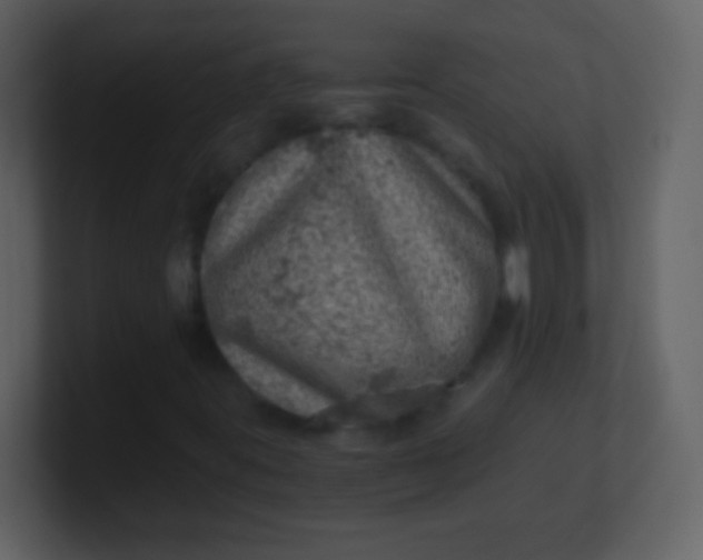 X0000100901395200807081052