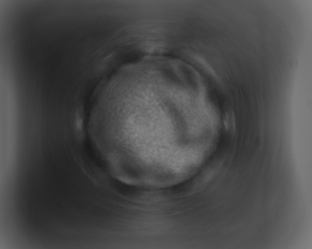 X0000100901396200807081052