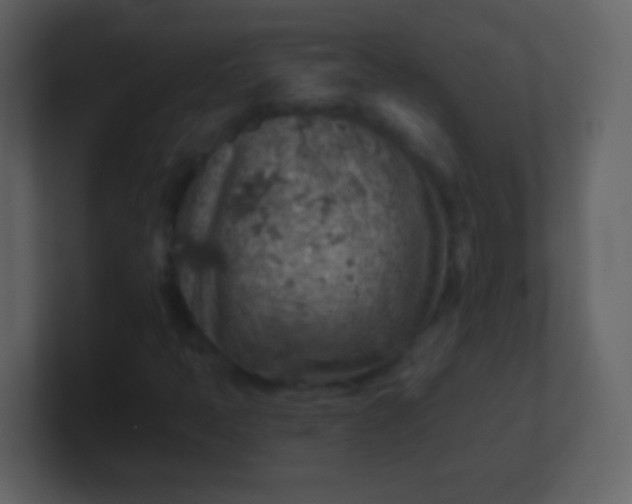 X0000100901397200807081052