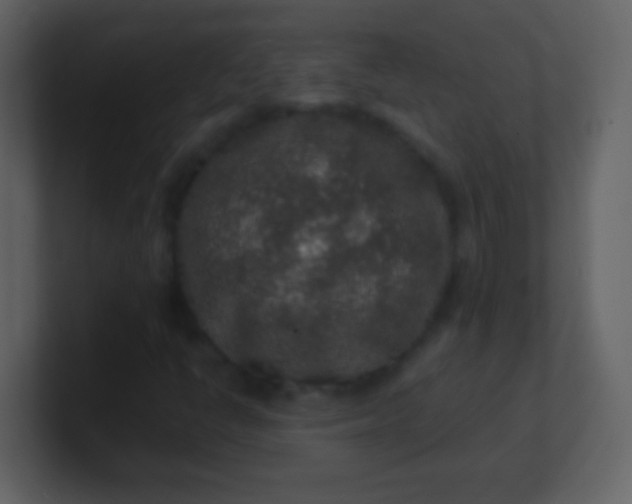 X0000100901398200807081052