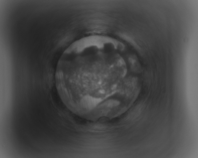 X0000100901399200807081052