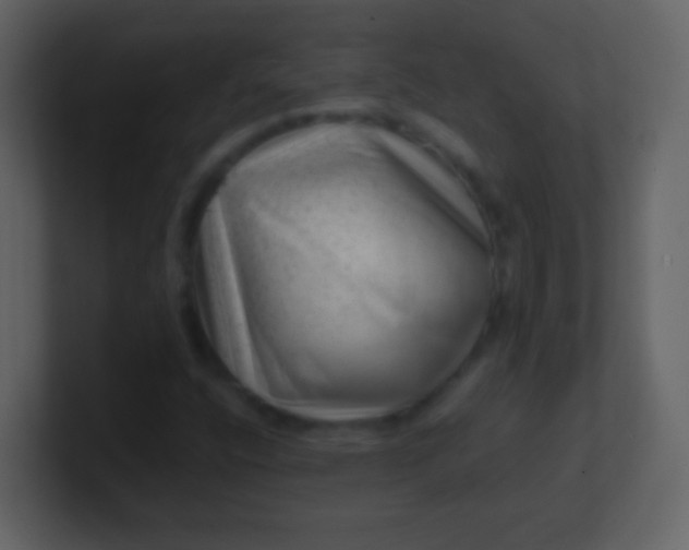 X0000100901400200807081052