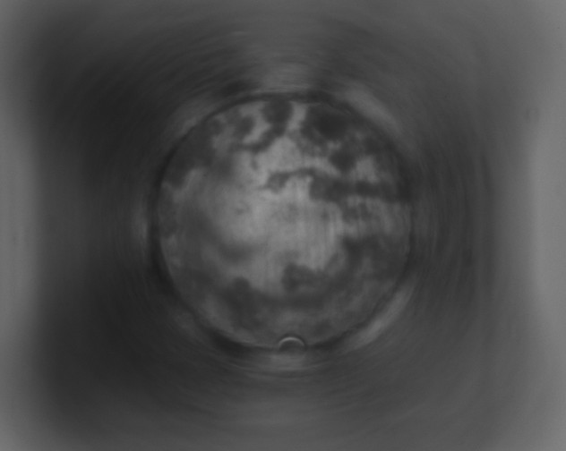 X0000100901401200807081052