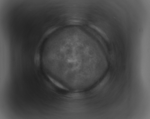 X0000100901402200807081052