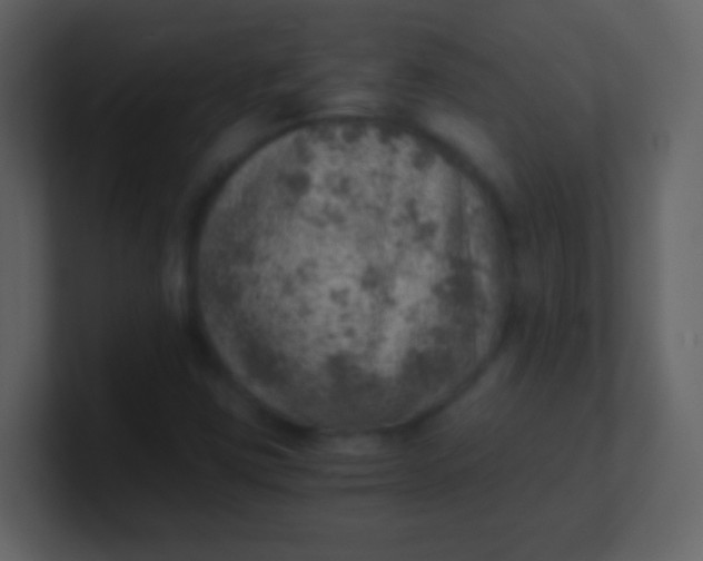 X0000100901403200807081052