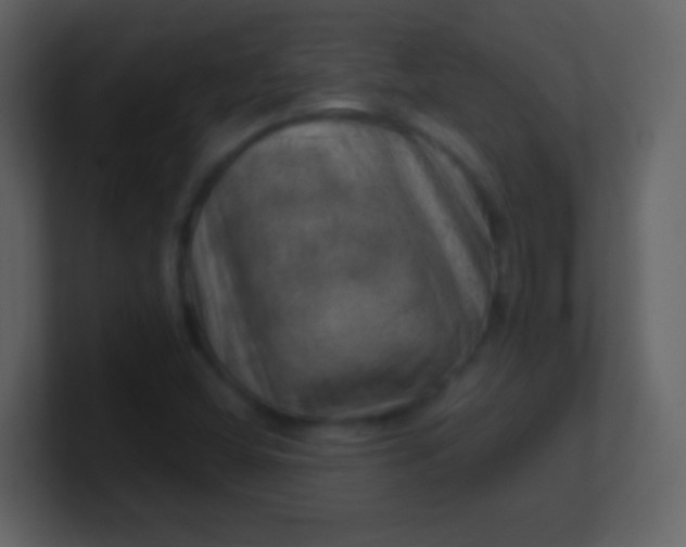 X0000100901404200807081052