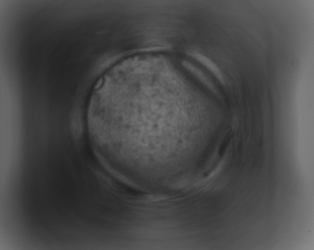 X0000100901407200807081052