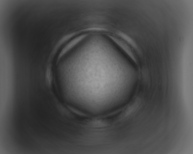 X0000100901408200807081052