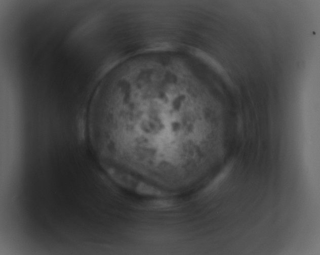 X0000100901409200807081052