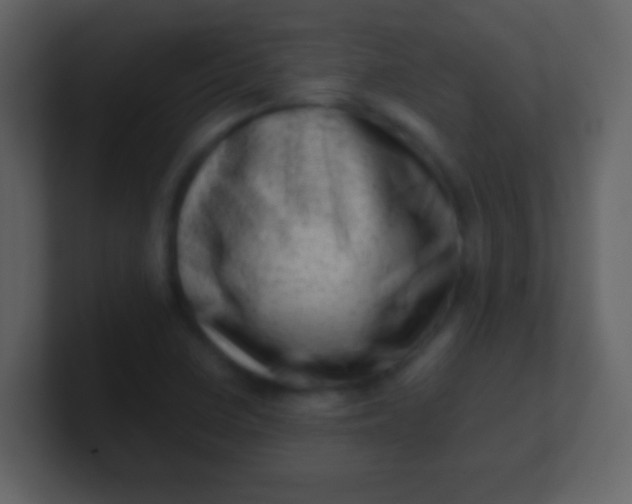 X0000100901410200807081052