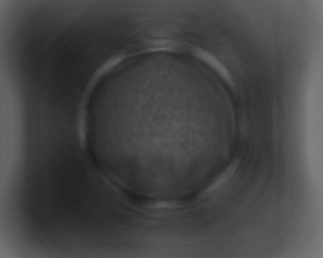 X0000100901411200807081052