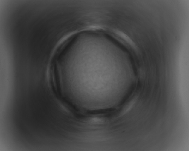 X0000100901412200807081052