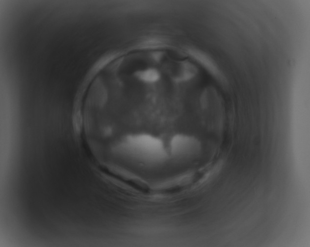 X0000100901413200807081052