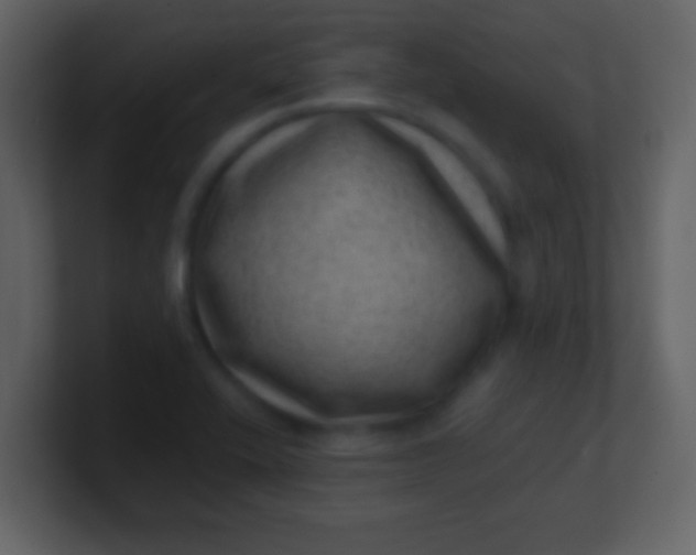 X0000100901416200807081053