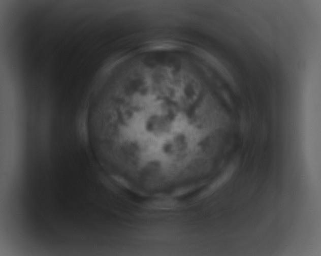 X0000100901417200807081053