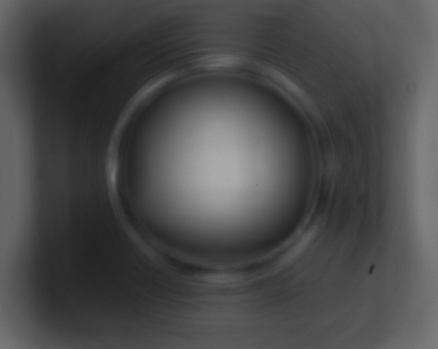 X0000100901418200807081053