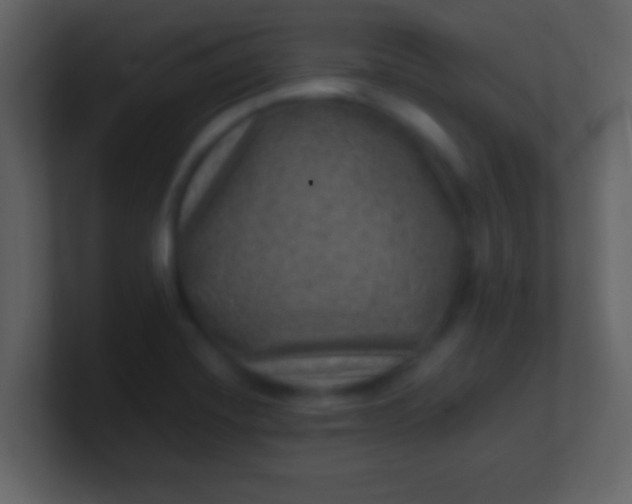 X0000100901420200807081053