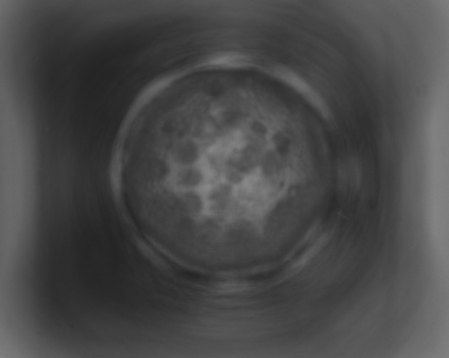 X0000100901421200807081053