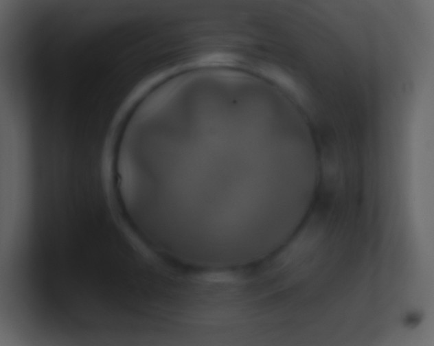 X0000100901422200807081053