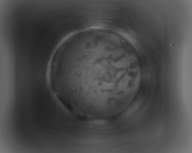 X0000100901423200807081053