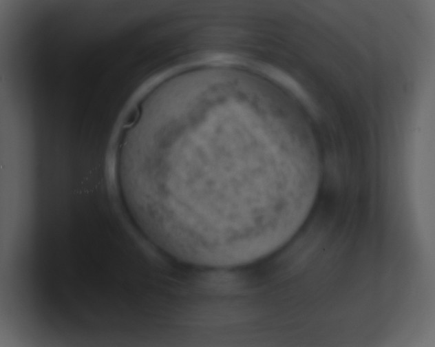 X0000100901424200807081053