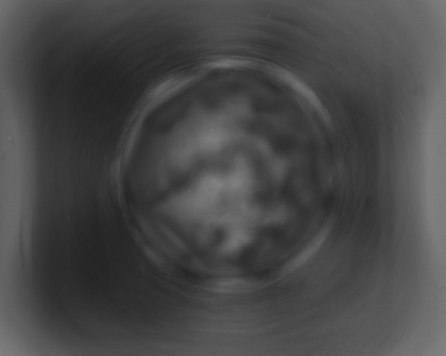 X0000100901425200807081053