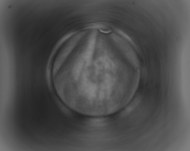 X0000100901426200807081053