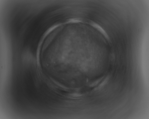 X0000100901427200807081053