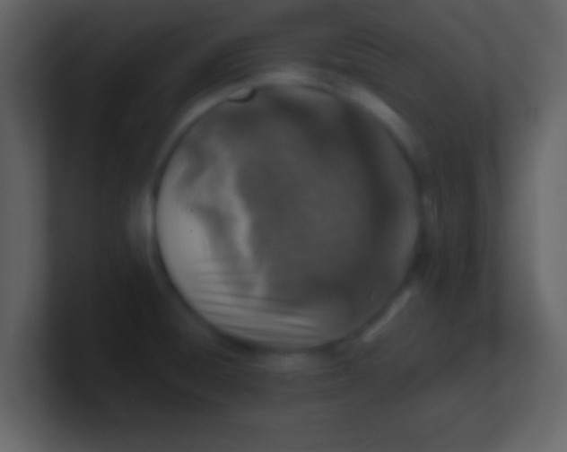 X0000100901428200807081053